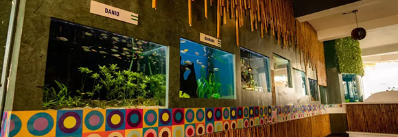 Bhimtal Island Aquarium near Bhimtal